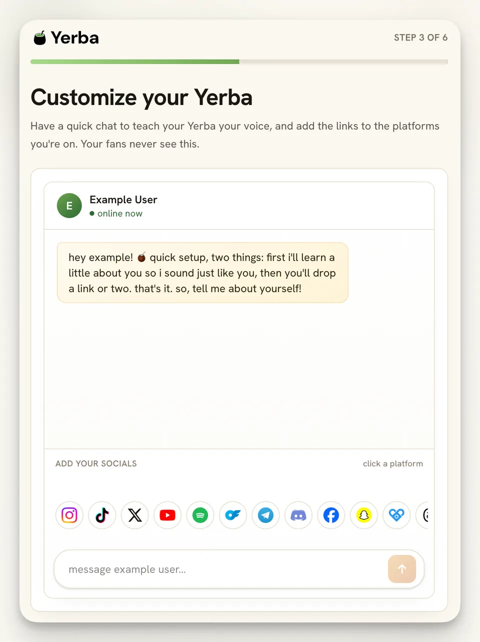 Yerba onboarding screen titled 'Customize your Yerba'. A chat from 'Example User' reads: 'hey example! quick setup, two things: first i'll learn a little about you so i sound just like you, then you'll drop a link or two. that's it. so, tell me about yourself!'. Below is an 'Add your socials' row of platform icons (Instagram, TikTok, X, YouTube, Spotify, and more) and a message input.